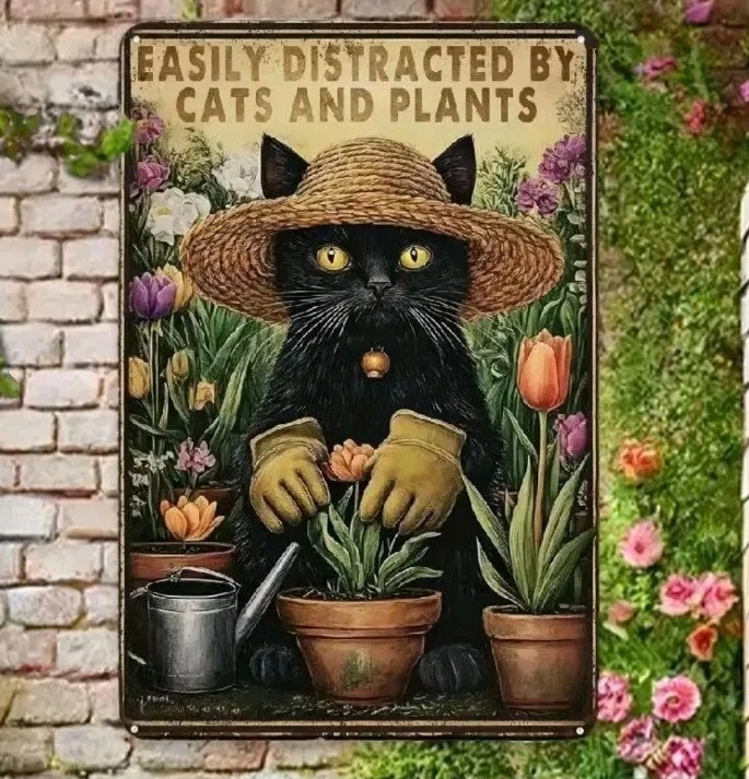 Placa de metal facilmente distraída por plantas de gatos 8x12 vintage decoração de parede de gato presente - Imagem 1 de 4