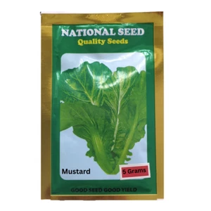 Nepalese Local Mustard (Red&Black/ Reg), Radish , Cucumber, Seeds, - Picture 1 of 11