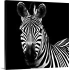 Zebra II Square Canvas Wall Art Print, Zebra Home Decor