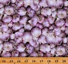 Cotton Garlic Heads Bulbs Vegetables Herbs Food Cooking Fabric Print BTY D574.84