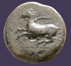 Archaios | Sicily Alaesa KAINON Griffin Club / Horse | AE | i55.8 - Imagen 1 de 2