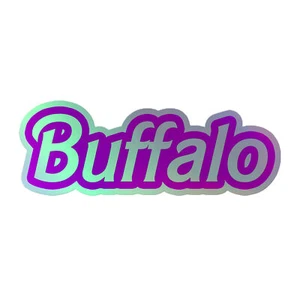 Buffalo NY Barbie Holographic stickers - Picture 1 of 4