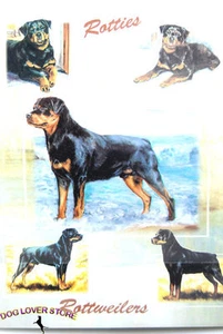 Rottweiler Gift Wrapping Paper - Picture 1 of 1