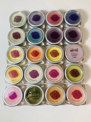 Scentsy - Lot Of 20 Sampler Wax Melts - Assorted Scents - Image 1 of 4