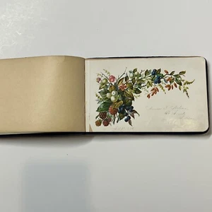 1880s Antique AUTOGRAPH ALBUM Blue Velvet Cover Anna J. Nelson Blooming Prairie - Picture 1 of 20