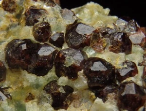 GARNET var. ALAMANDINE crystals - NORWAY Nordland - Buvika - Buviknakken /pk208 - Picture 1 of 19