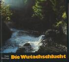 Dieter Kohlhepp: Wąwóz Wutach - Obraz pierwotnego krajobrazu (Schwarzwald 1991)