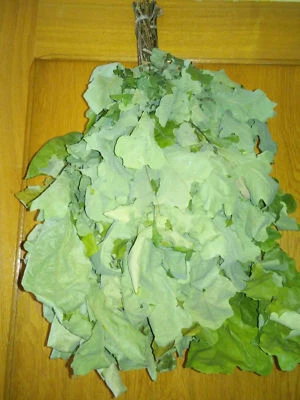 SET of 10 ECO oak whisks veniks brooms SEASON 2025 FREE SHIPPING - Image 1 of 4