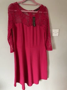 BNWT Womens Fit And Flare Skater Dress Size 16 Pink Knee Length Lace Wedding - Picture 1 of 18