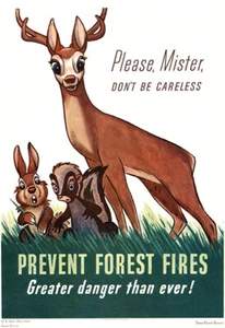 Please Mister Don't Be Careless Prevent Forest Fires - 1943 - Promotional Poster - Picture 1 of 1