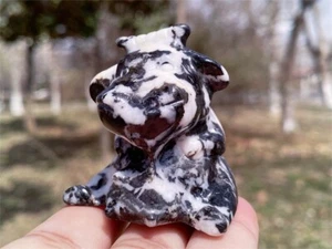 2" Natural Carved Zebra stone Cow Reiki Crystal Skull Figurine Crystal gift 1PC - Picture 1 of 15