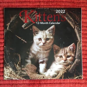 Kätzchen Katze & Kätzchen Kalender 2022, süße Katzenbilder, saisonale Tier Haustierfotos - Bild 1 von 12
