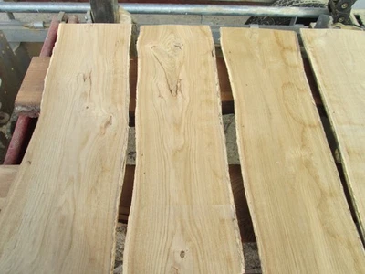 5 x Eichenholz, Eiche, Kerneiche, Basteln, Wildeiche, Deko, 60 cm - Bild 1 von 4