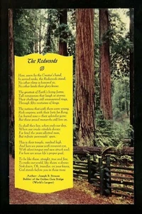 Tree postcard California Redwood Sequoia poem literature chrome - Picture 1 of 2