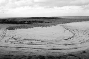 Cape Cod 2018 10x13 large black and white photograph wall print - Picture 1 of 1