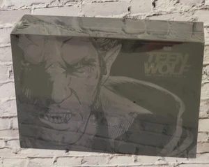 Teen Wolf: The Complete Series Seasons 1-6 ( DVD 27-Disc Box Set ) Region 1 USA - Picture 1 of 2