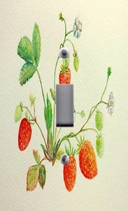 Light Switch Plate Outlet Covers Home Decor FRUITS STRAWBERRY VINE - Picture 1 of 26