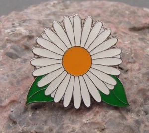 Ox Eye Oxeye Daisy Common Wild Flower White Bloom Brooch Pin Badge - Picture 1 of 2