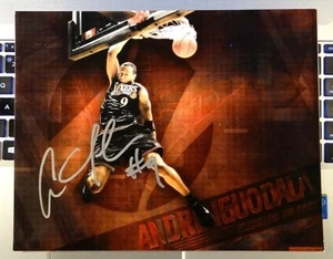 ¡FOTO FIRMADA ANDRE IGUODALA PHILADELPHIA 76ERS GOLDEN STATE WARRIORS 8X10!!¡! - Imagen 1 de 1
