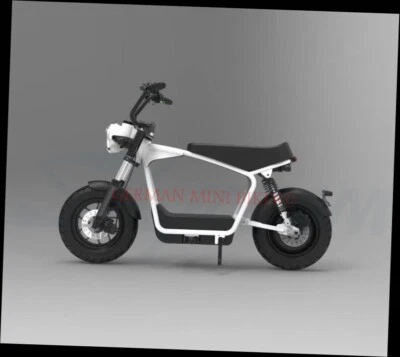 Mokick elektrisch, Skyteam e-MAX - Bild 1 von 4