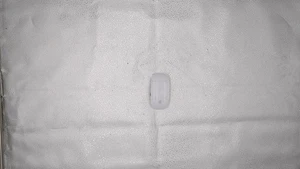 *READ* Apple Magic Mouse - White Multi-touch Surface - Picture 1 of 5
