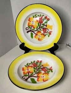 2 Vintage Emaillegeschirr Metall flache Schalen Blumen Airbrush handbemalt 9-3/8" Retro - Bild 1 von 8
