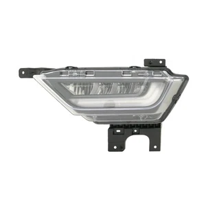 Faro antiniebla para Ford F150 2021-2023 certificado CAPA lado izquierdo del conductor - Imagen 1 de 4