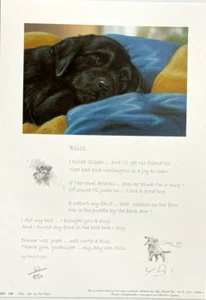 Black Labrador Puppy Limited Edition Print 'Bliss' by Paul Doyle Mounted - Picture 1 of 2
