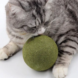 Super Large Catnip Ball 10cm Cat Grass Self-Hi Relieving Stuffy Insect Gall-v - Picture 1 of 7
