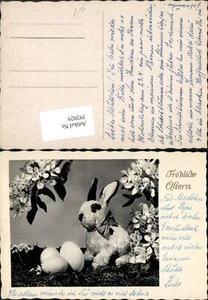 392029,Ostern Stofftier Osterhase Hase Eier Blütenzweige - Picture 1 of 1