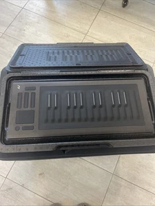 ROLI Seaboard RISE 25 Note USB Keyboard Controller - Picture 1 of 7