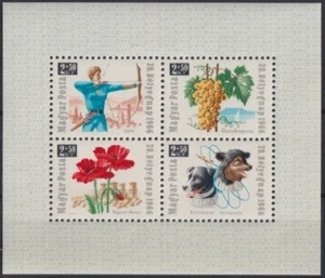 F-EX19775 HUNGARY MNH 1966 SHEET SPACE DOG PERROS UVAS ARQUERO FLOWER FLORES. - Picture 1 of 1