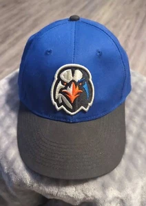 Aberdeen Ironbirds Logo Minor League Baseball Adjustable Baseball Hat Cap MiLB - Picture 1 of 10