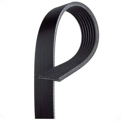 Cinturón Serpentine ACDelco Original Para Nissan Titan 2004-2015 | Estándar | 7 Costillas Foto 1 de 4