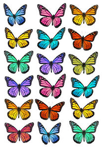 Butterfly x36  Fairy Cup Cake Toppers Bright  Realistic *Diy Edible Rice Paper