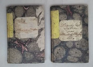 Diane et Sabine. Complement de Raphaèl et Lucien. Tomes I+II. [2 vols.]. Masson, - Picture 1 of 1