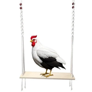 Pollaio Altalena Giocattolo per Pollaio, Pollo Arricchimento Giocattolo per Galline e4647 - Foto 1 di 6