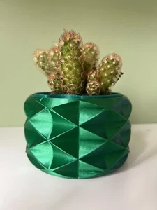 Eco Friendly Self Watering Smart Plant Holder With Pot and Reservoir 3D Print - Picture 1 of 13