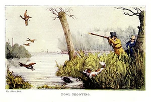 CABALLEROS INGLESES AVES ACUÁTICAS TIRO CAZA, SPRINGER SPANIELS IMPRESIÓN ANTIGUA - Imagen 1 de 1