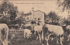 NP5401 - ISOLA GORGO LAGUNA GRADO UDINE - UNA FATTORIA NON VIAGGIATA