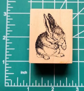 Vintage PSX Stempel D1269 Realistisch Hase-Hase leckt Pfote Neu Ostern..B3 - Bild 1 von 6