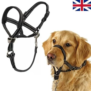 Dogalter Perro Halter Halti Entrenamiento Cabeza Collar Suave Líder Arnés Correa Nylon - Imagen 1 de 11