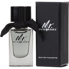 burberry mr burberry edp 100ml