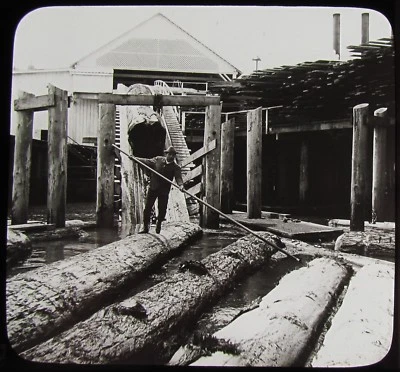 Glass Magic Lantern Slide LOG MILL WASHINGTON C1910 PHOTO USA  - Image 1 of 2