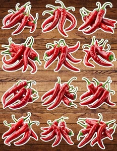 Red Hot Chili Peppers Die Cut Stickers Set Scrapbooking Laptop Waterbottle  - Picture 1 of 1
