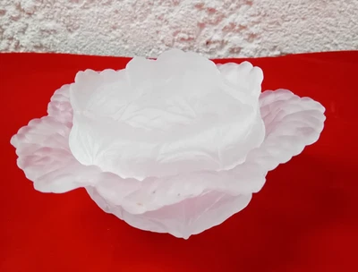 bonbonnière en verre dépoli en forme de chou verre dépoli blanc - Photo 1/4