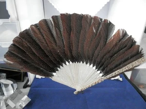 Superb Chinese peacock feathers carved fan, 19th Century - Imagen 1 de 8