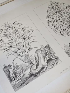 1880 FOLIO 108 Litho Plates Ornements des anciens maitres ORNAMENTS Scarce - Bild 1 von 20