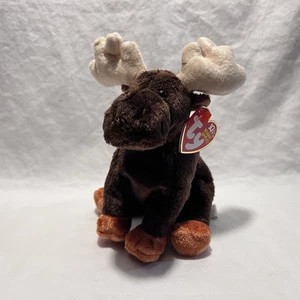 Juguete de peluche TY Beanie Baby ZEUS the Moose de colección Ty Beanie Babies - Imagen 1 de 3