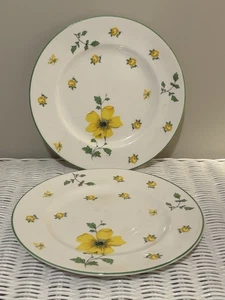 TWO Royal Victoria Bone China Salad Plates White with Yellow Flowers 8 Inch UK - Picture 1 of 4